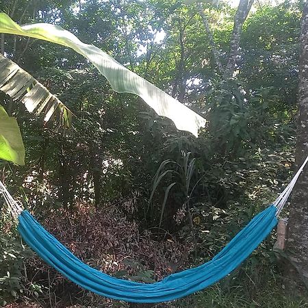 Willa Casinha Acolhedora Da Mata - Rota Do Vinho São Roque Zewnętrze zdjęcie